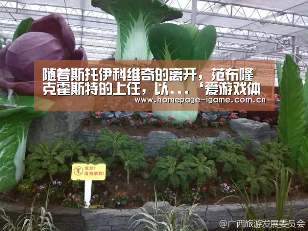 随着斯托伊科维奇的离开,范布隆克霍斯特的上任,以...‘爱游戏体育App下载’(图2) 爱游戏体育App下载