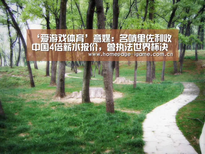 ‘爱游戏体育’意媒:名哨里佐利收中国4倍薪水报价,曾执法世界杯决赛(图4) 爱游戏体育App下载