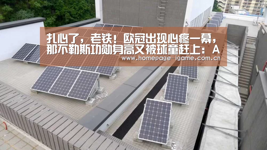 爱游戏体育App下载