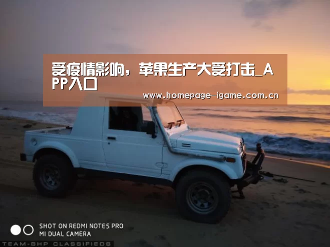 受疫情影响,苹果生产大受打击_APP入口(图4) 爱游戏体育