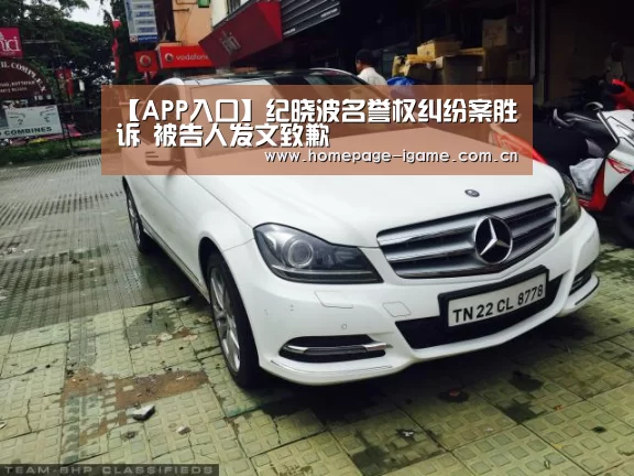 APP入口