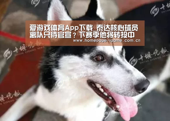 APP入口